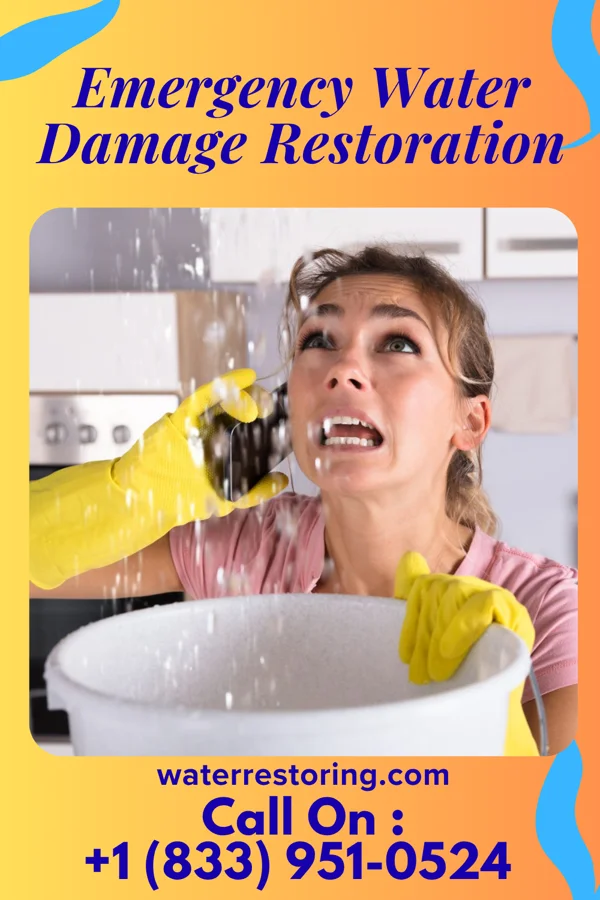 Emergency Water Damage Restoration in Sheldon, IL