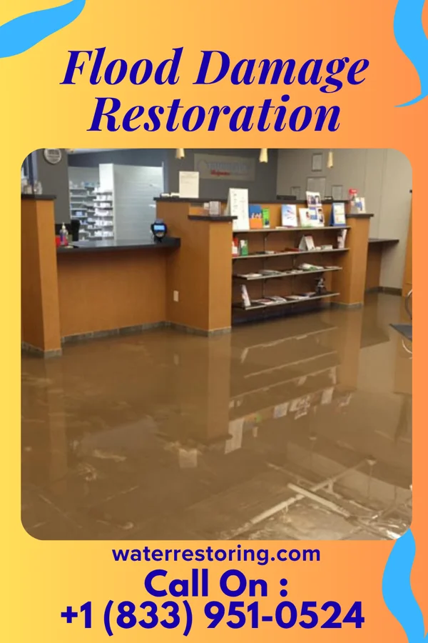 Flood Damage Restoration in Sheldon, IL