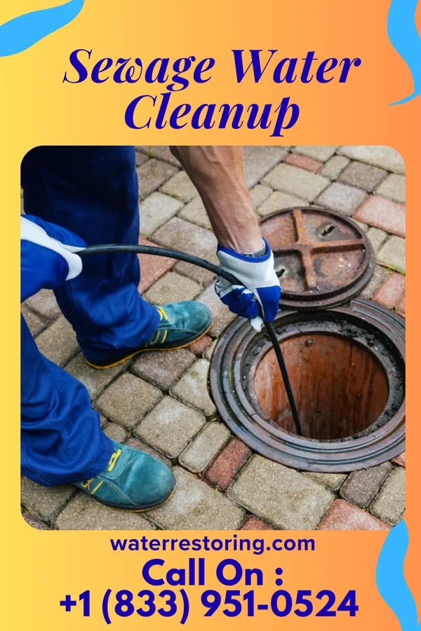 Sewage Water Cleanup in Sheldon, IL