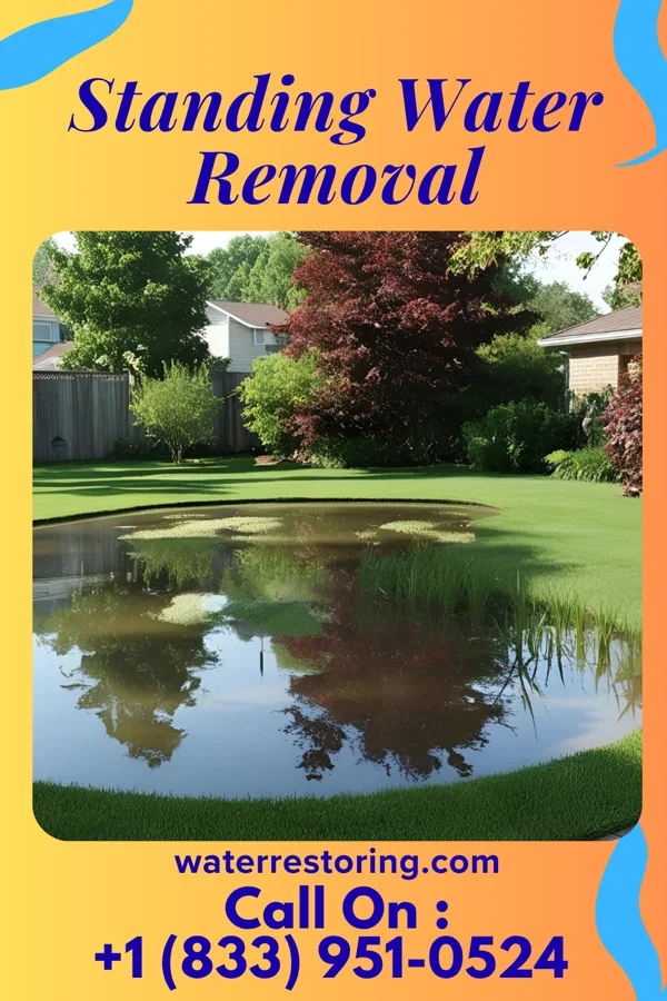 Standing Water Removal in Sheldon, IL